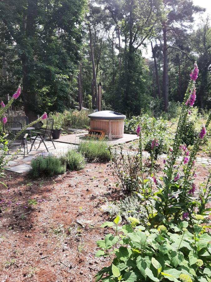 Vakantiehuis Met Hottub En Barrelsauna Ommen Esterno foto