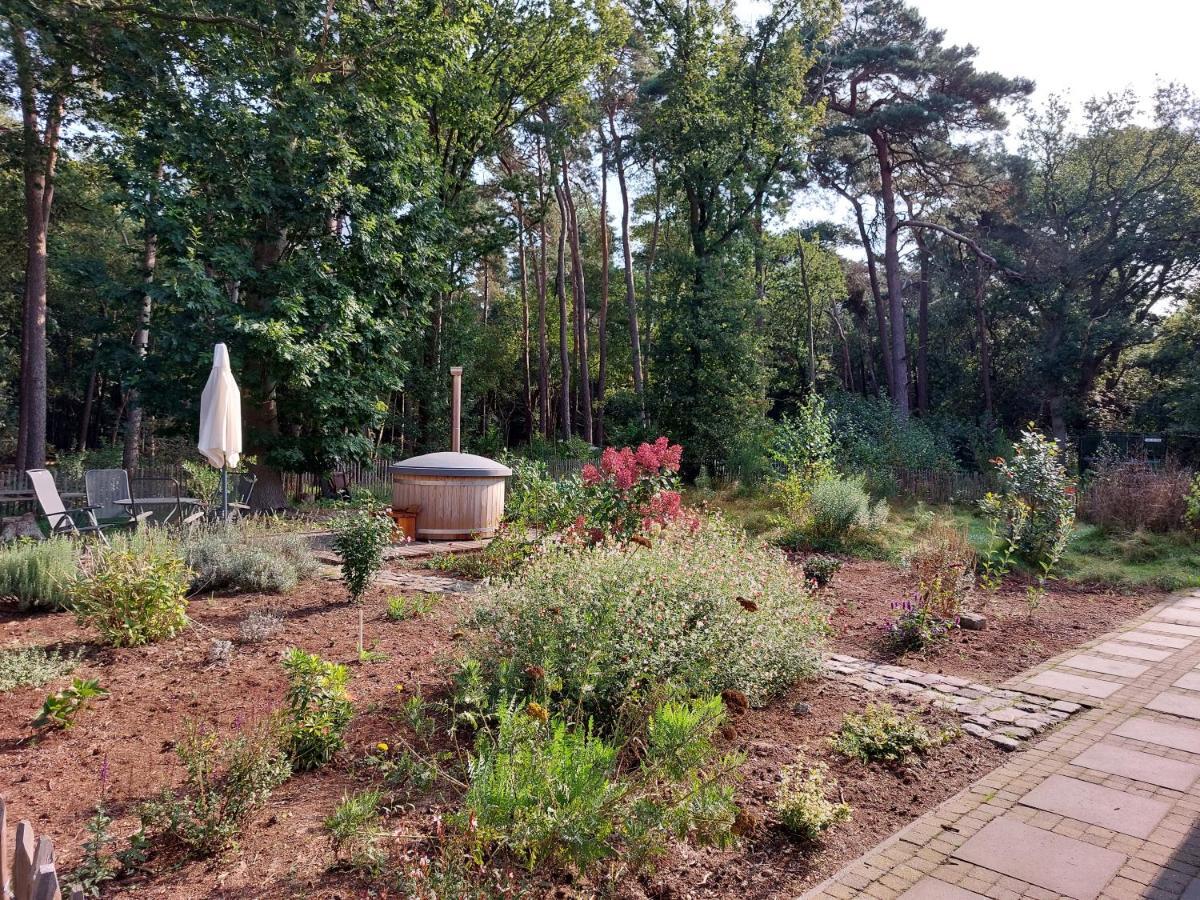 Vakantiehuis Met Hottub En Barrelsauna Ommen Esterno foto